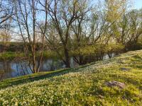 Imagine atasata: aaa (9).jpg